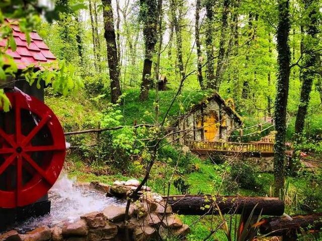 Şile Agva Ormanya Maşukiye Abant Yedigöller 