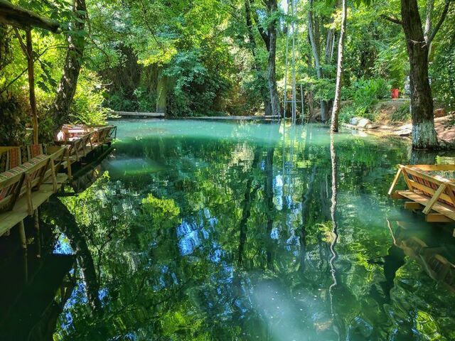 DATÇA BADEM ÇİÇEĞİ FESTİVALİ
