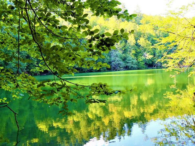 BATI KARADENİZ, ŞİLE AĞVA VE YEDİGÖLLER TURU