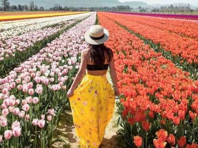 KONYA-LALE BAHÇELERİ-ÇATALHÖYÜK TURU