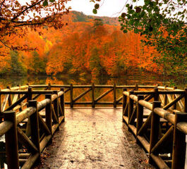 Şile Agva Ormanya Maşukiye Abant Yedigöller