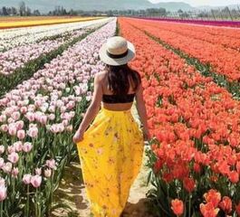 KONYA-LALE BAHÇELERİ-ÇATALHÖYÜK TURU